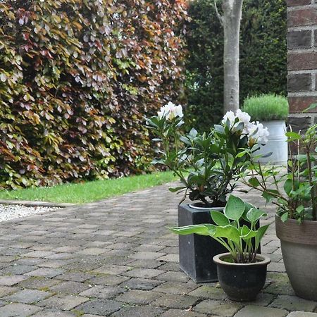 Asse De Logeur B&B 외부 사진