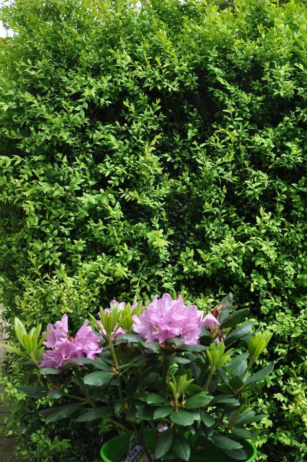 Asse De Logeur B&B 외부 사진