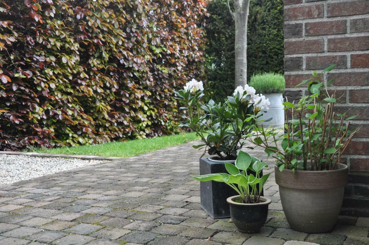 Asse De Logeur B&B 외부 사진