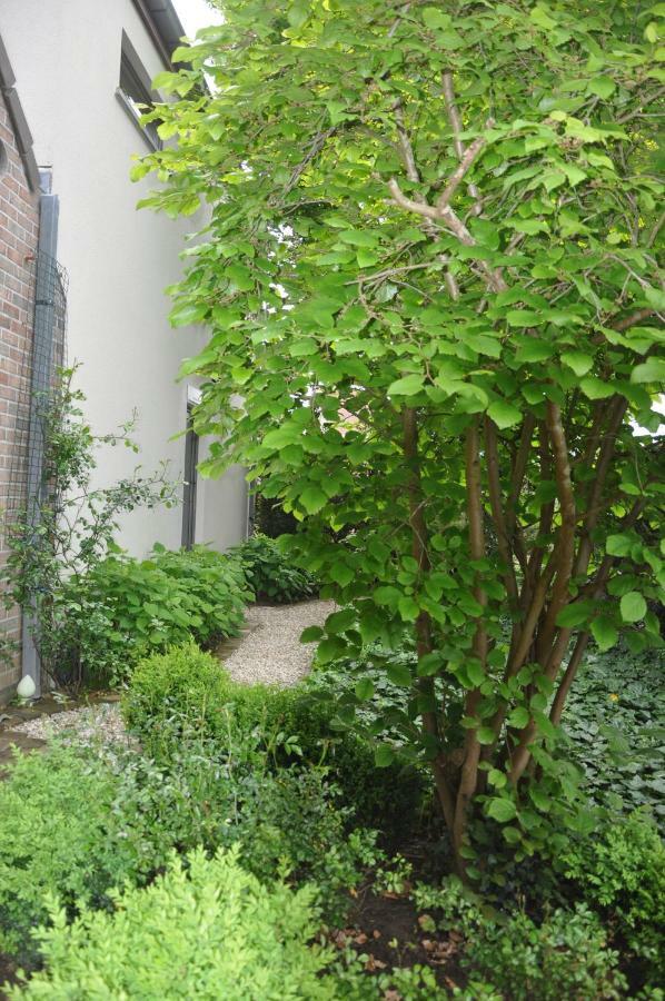 Asse De Logeur B&B 외부 사진