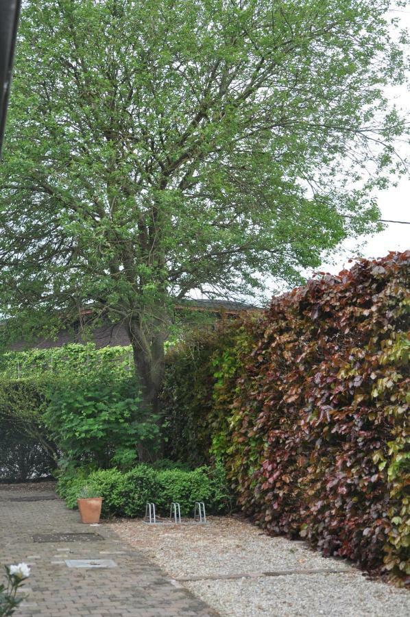 Asse De Logeur B&B 외부 사진